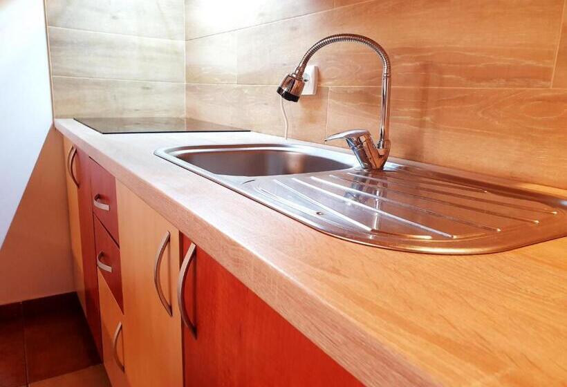 דירת שני חדרים, Pensiunea Eliza