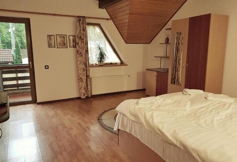 דירת שני חדרים, Pensiunea Eliza