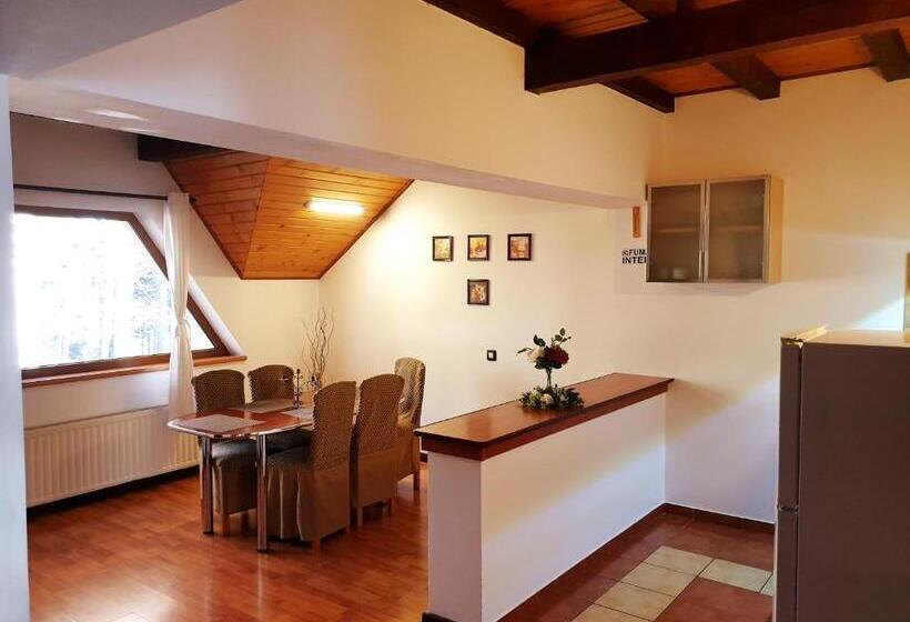 דירת שני חדרים, Pensiunea Eliza