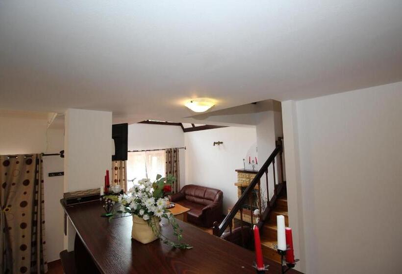 דירת דופלקס בת חדר שינה 1, Pensiunea Eliza