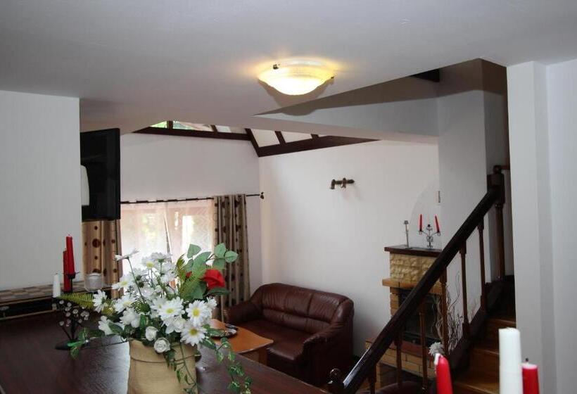 דירת דופלקס בת חדר שינה 1, Pensiunea Eliza