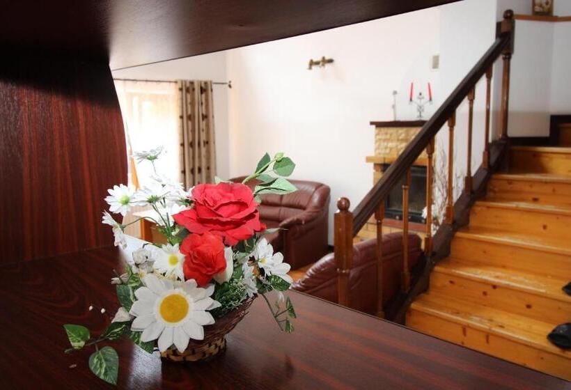 דירת דופלקס בת חדר שינה 1, Pensiunea Eliza