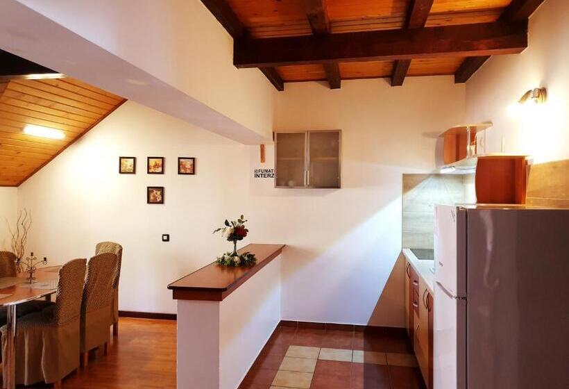 וילה בת 5 חדרים, Pensiunea Eliza