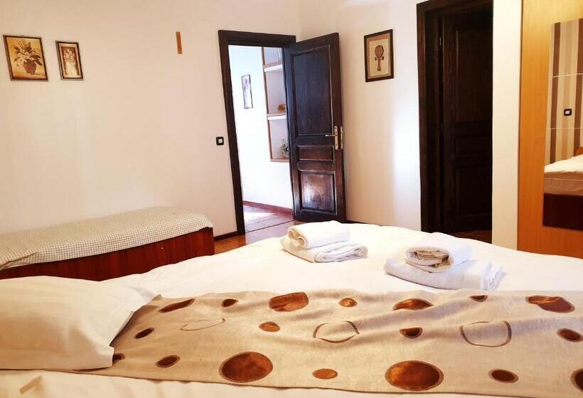 וילה בת 5 חדרים, Pensiunea Eliza