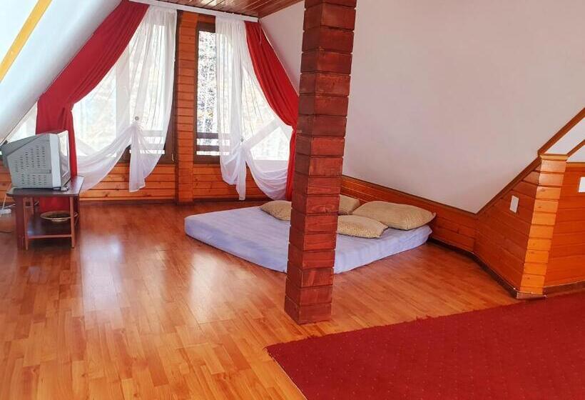 וילה בת 5 חדרים, Pensiunea Eliza