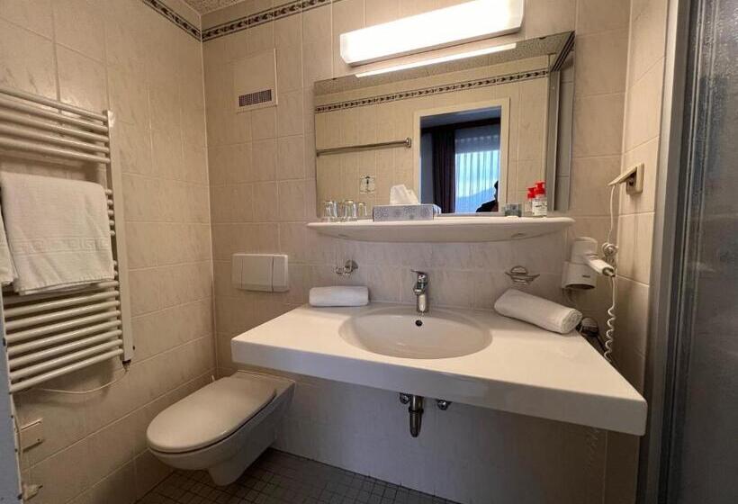 Номер Стандарт с Балконом, Pension Wachter