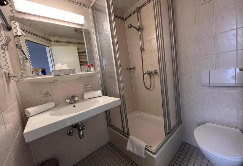 غرفة قياسية, Pension Wachter