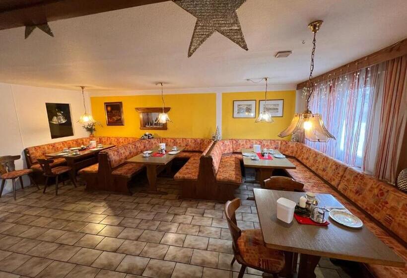 غرفة قياسية فردية مزودة بشُرفة, Pension Wachter