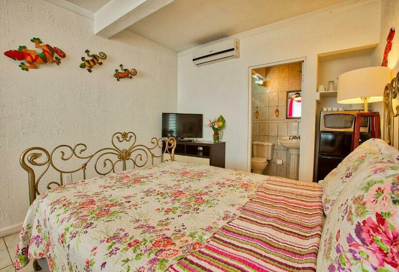 اتاق استاندارد با چشم‌انداز دریا, Coconut Palms Inn