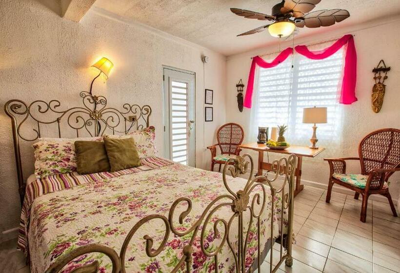 اتاق استاندارد با چشم‌انداز دریا, Coconut Palms Inn