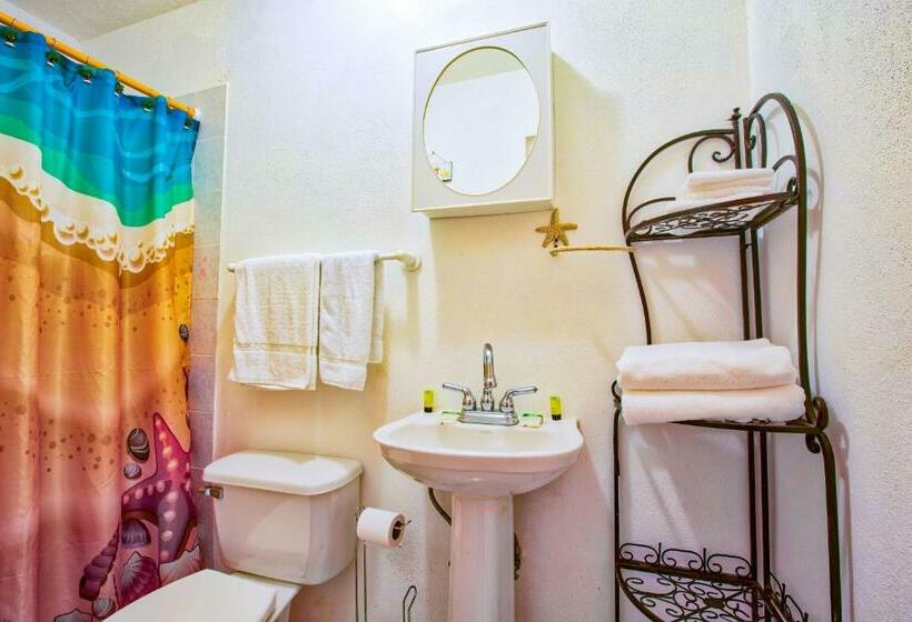 اتاق استاندارد با چشم‌انداز, Coconut Palms Inn