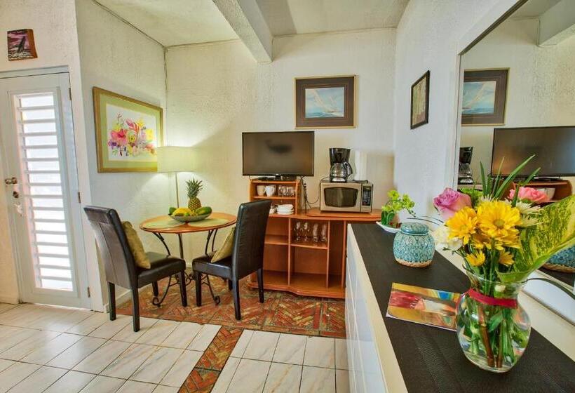 استودیوی استاندارد با چشم‌انداز دریا, Coconut Palms Inn