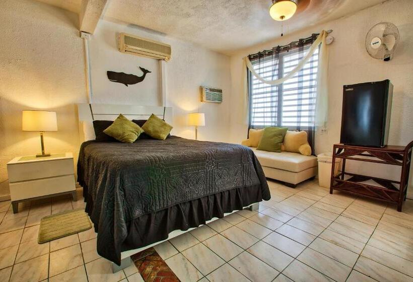 استودیوی استاندارد با چشم‌انداز دریا, Coconut Palms Inn