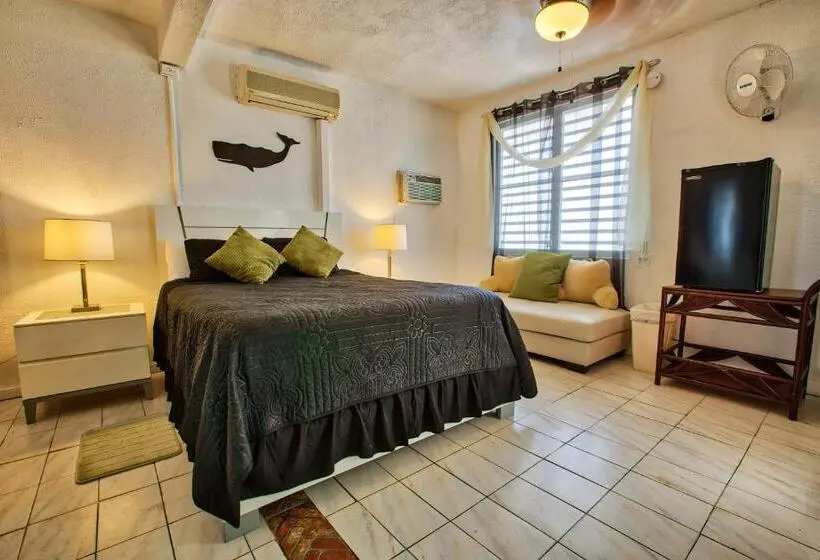 استودیوی استاندارد با چشم‌انداز دریا, Coconut Palms Inn