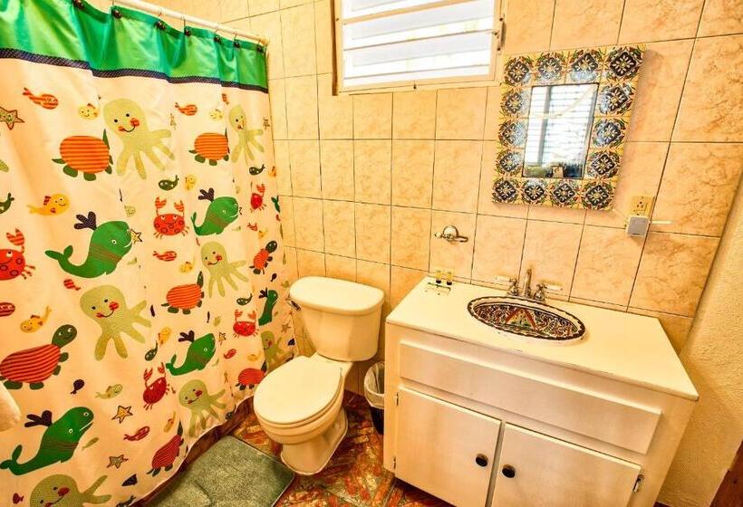استودیوی استاندارد با چشم‌انداز دریا, Coconut Palms Inn
