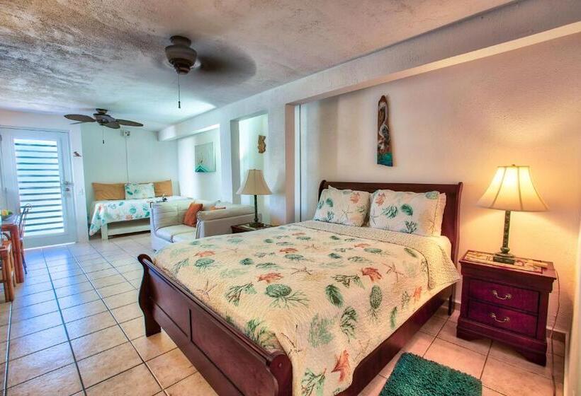 استودیوی استاندارد با چشم‌انداز دریا, Coconut Palms Inn