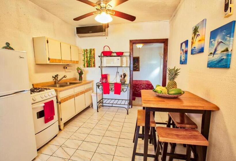 استودیو استاندارد با تخت کینگ, Coconut Palms Inn