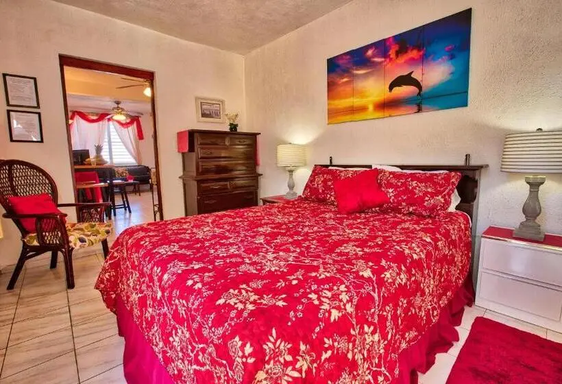 استودیو استاندارد با تخت کینگ, Coconut Palms Inn