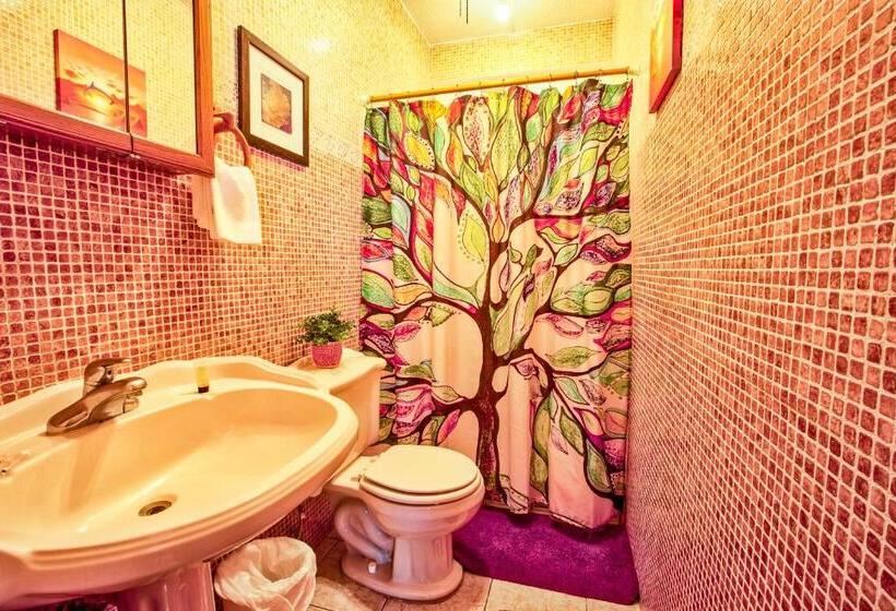 استودیو استاندارد با تخت کینگ, Coconut Palms Inn