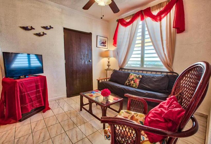 استودیو استاندارد با تخت کینگ, Coconut Palms Inn