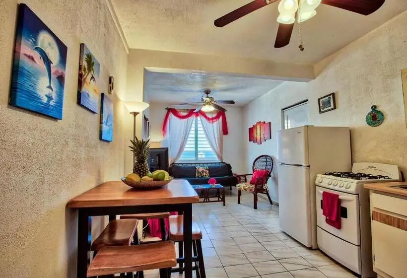 استودیو استاندارد با تخت کینگ, Coconut Palms Inn
