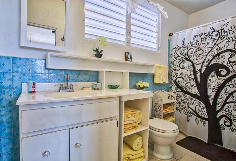 آپارتمان 1 خوابه با تراس, Coconut Palms Inn