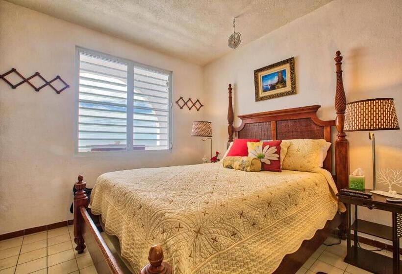آپارتمان 1 خوابه با تراس, Coconut Palms Inn