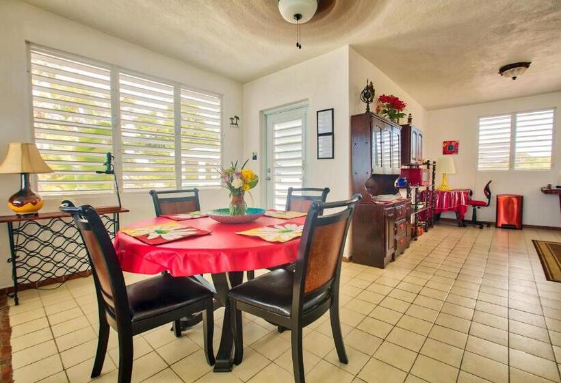 آپارتمان 1 خوابه با تراس, Coconut Palms Inn