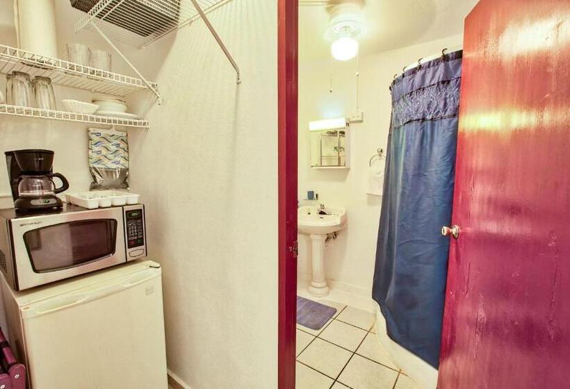 اتاق استاندارد با چشم‌انداز باغ, Coconut Palms Inn