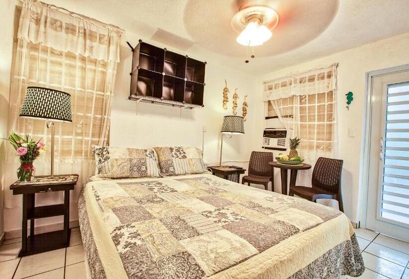 اتاق استاندارد با چشم‌انداز باغ, Coconut Palms Inn