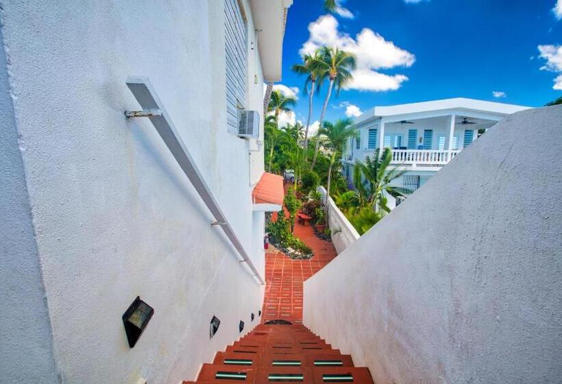 استودیو استاندارد با بالکن, Coconut Palms Inn