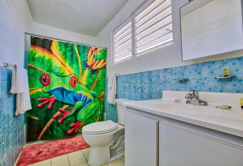 استودیو استاندارد با بالکن, Coconut Palms Inn