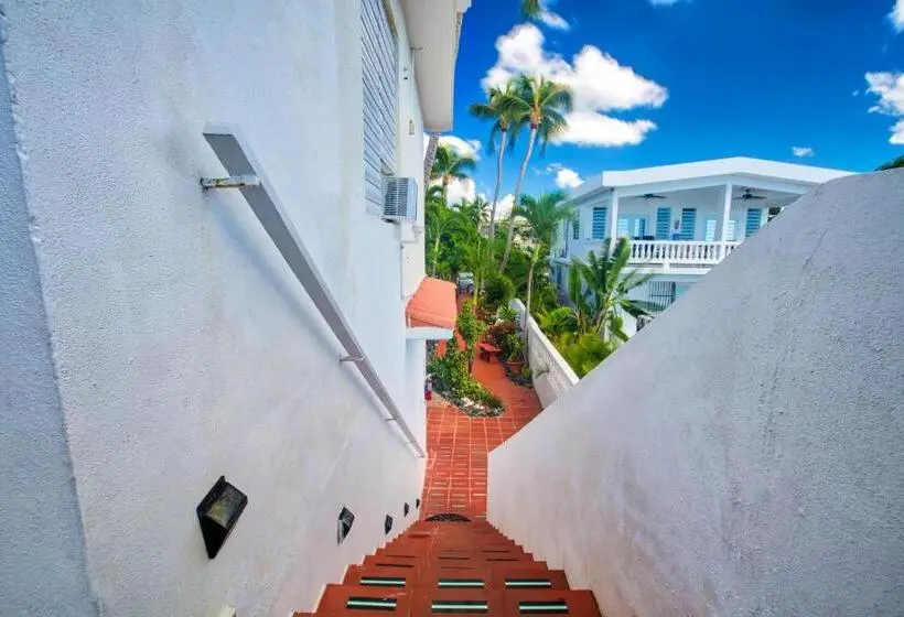 استودیو استاندارد با بالکن, Coconut Palms Inn