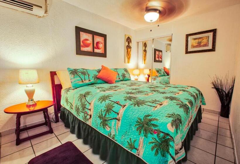 استودیو استاندارد با تخت کینگ, Coconut Palms Inn