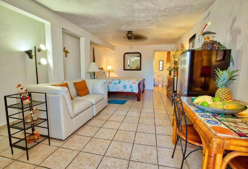 استودیوی استاندارد, Coconut Palms Inn