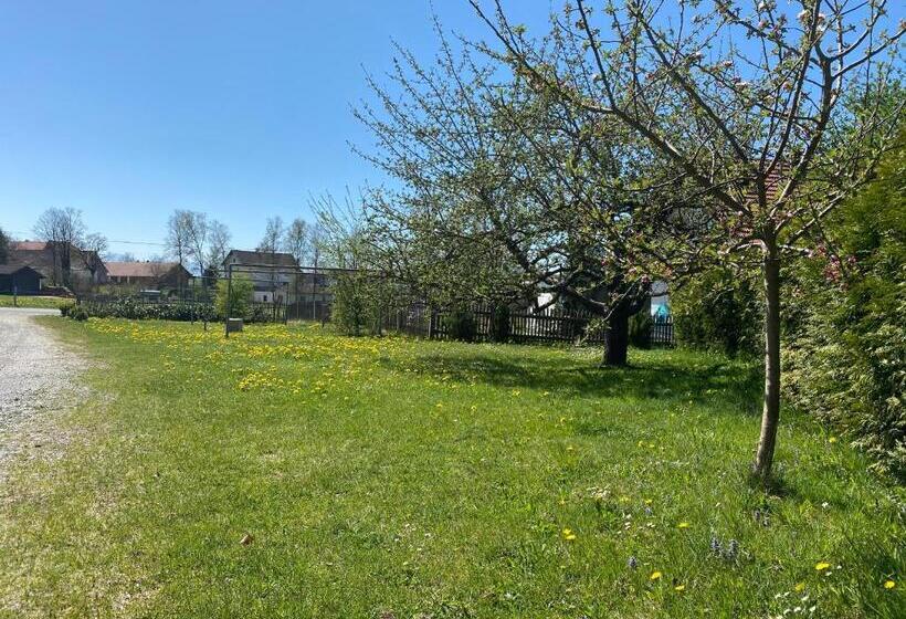 4인용 스탠다드 룸, Gasthof Graf