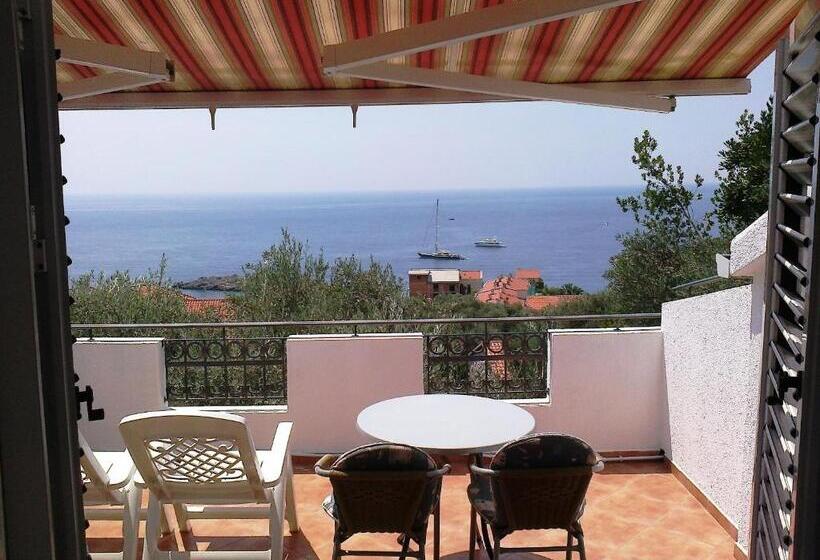 اتاق استاندارد با بالکن و چشم‌انداز دریا, Oaza Guest House