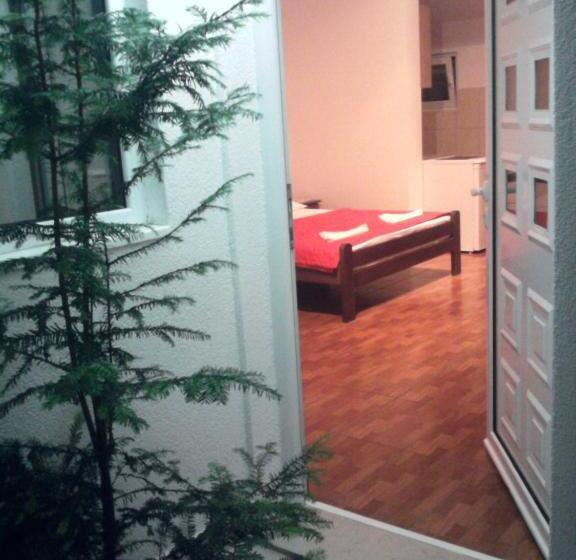 استودیوی استاندارد با چشم‌انداز دریا, Oaza Guest House