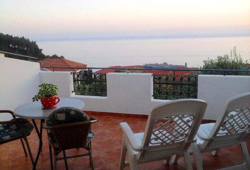 استودیوی استاندارد با چشم‌انداز دریا, Oaza Guest House