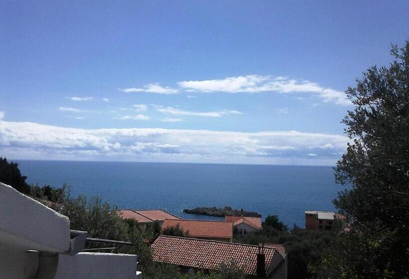 استودیو استاندارد با چشم‌انداز دریا و بالکن, Oaza Guest House