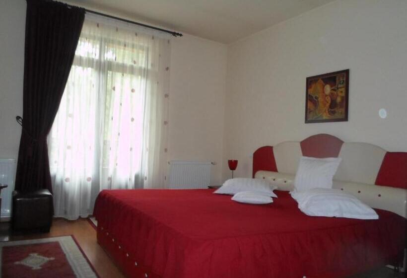 غرفة قياسية, Pensiunea Speranta