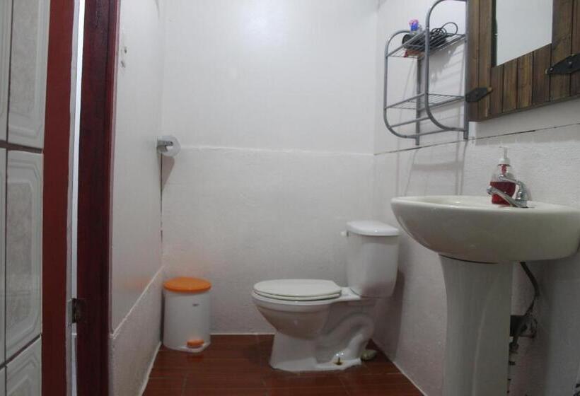 Номер Стандарт, Mirians Place Drake