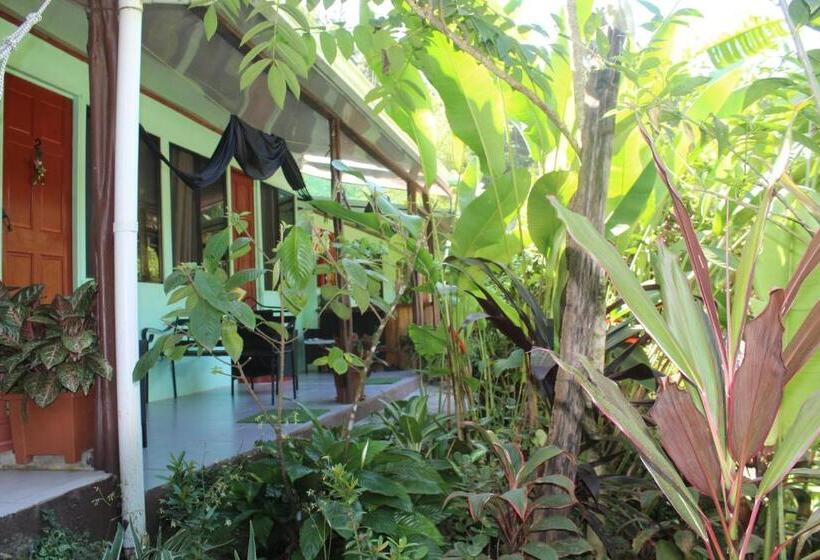 スタンダードルーム, Mirians Place Drake