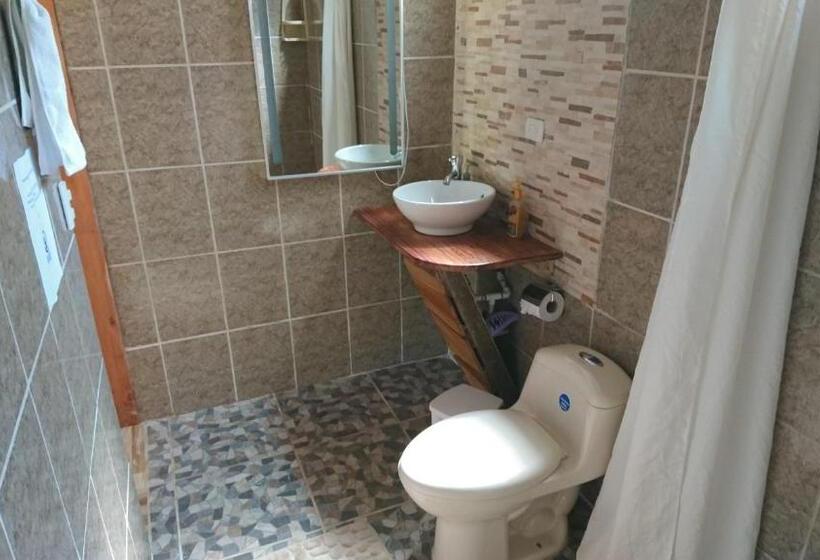 Номер Стандарт с Террасой, Mirians Place Drake