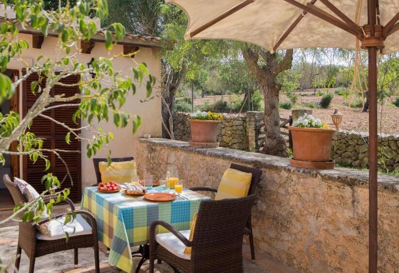 带2个卧室的公寓, Agroturismo Es Pla De Llodrá