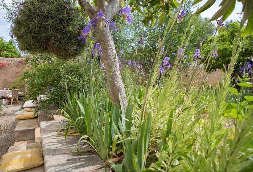 带1个卧室的公寓, Agroturismo Es Pla De Llodrá