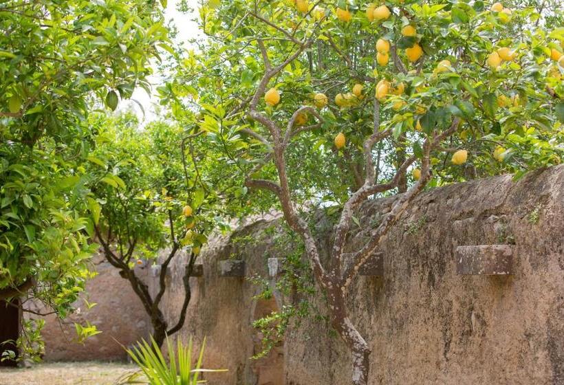 带1个卧室的公寓, Agroturismo Es Pla De Llodrá