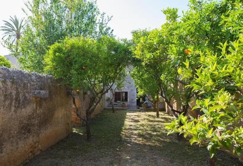 1ベッドルームアパートメント, Agroturismo Es Pla De Llodrá