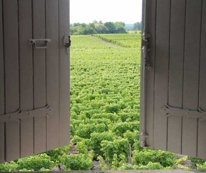 Номер Стандарт, Château Trillon