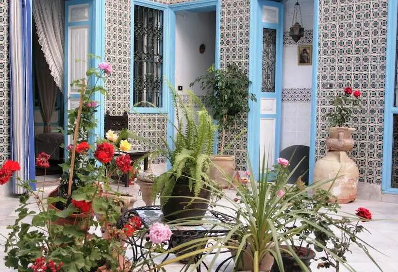 سوییت, Dar Hassine Allani